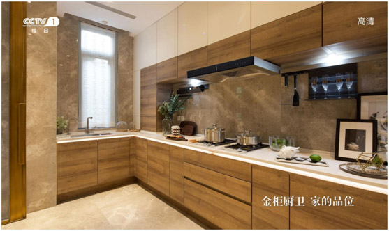 金柜廚衛(wèi)聯(lián)手央視 打造全國(guó)知名品牌