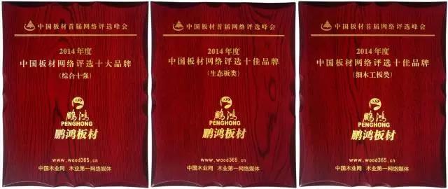 鵬鴻實力再獲肯定，蟬聯(lián)木業(yè)網(wǎng)2017年度“生態(tài)板十大品牌”