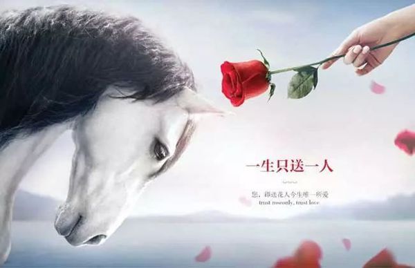 營銷策劃六大秘笈，窮得響叮當(dāng)?shù)膭?chuàng)業(yè)公司也能爆紅!
